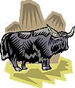 Yak